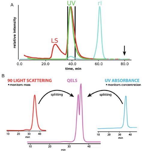 scattering protein by uv